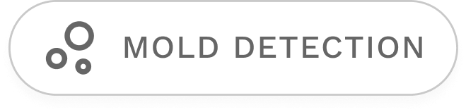 Mold